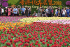 2018年香港花展开幕